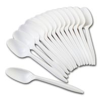 Plastic Spoons - Box